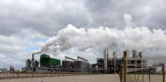 CO2 in het Rijnmondgebied