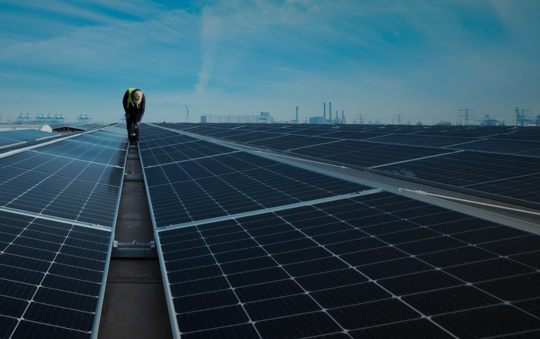 Mega-zonnedakinstallatie geopend op Maasvlakte