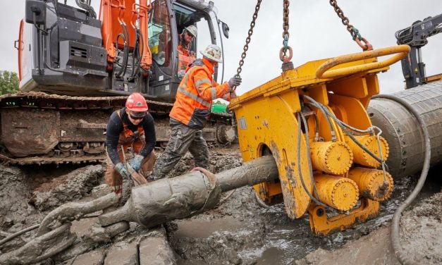 ‘Kijk breder naar grote decarbonisatieprojecten’