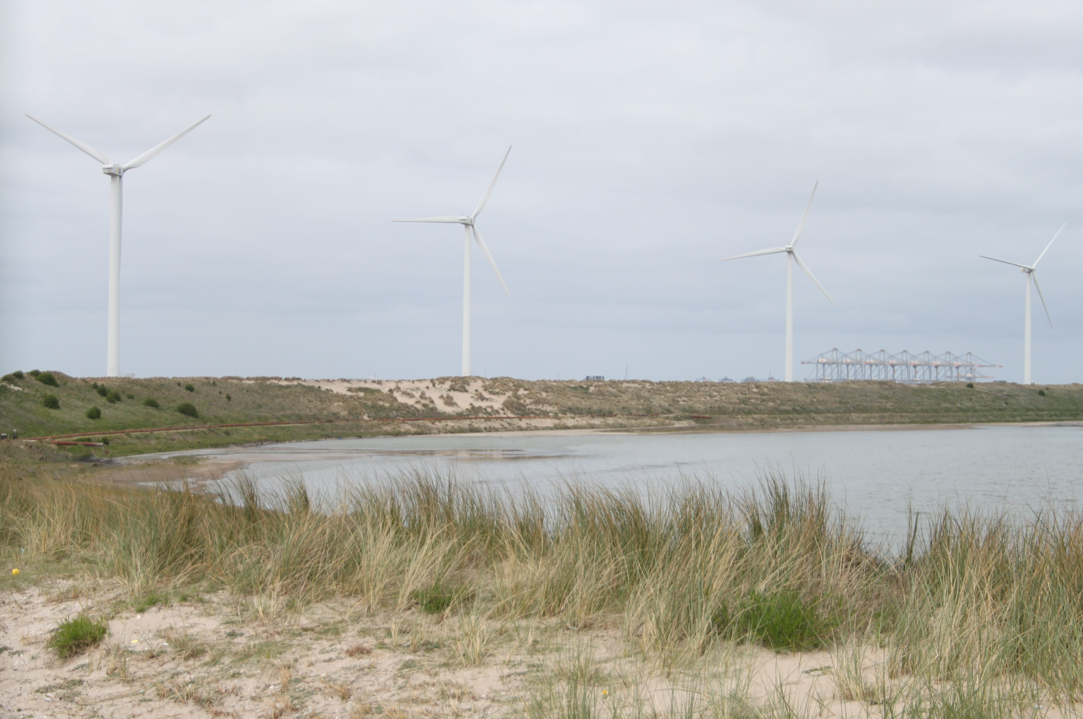 Grote belangstelling voor Zon op de Slufter