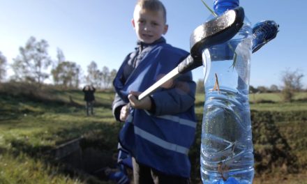 Groningen Seaports opnieuw deelnemer World Cleanup Day