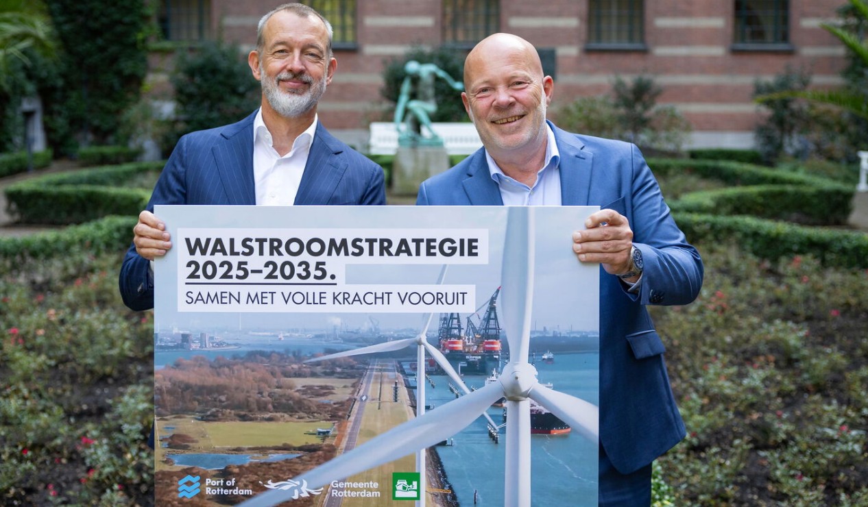 Walstroomstrategie