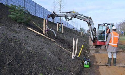 Nieuwe groenvoorziening in Rozenburg